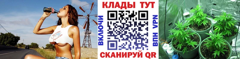 МЕФ Рузаевка