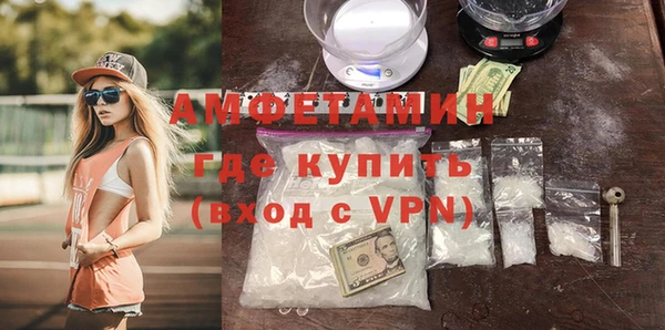 ГАЛЛЮЦИНОГЕННЫЕ ГРИБЫ Верея